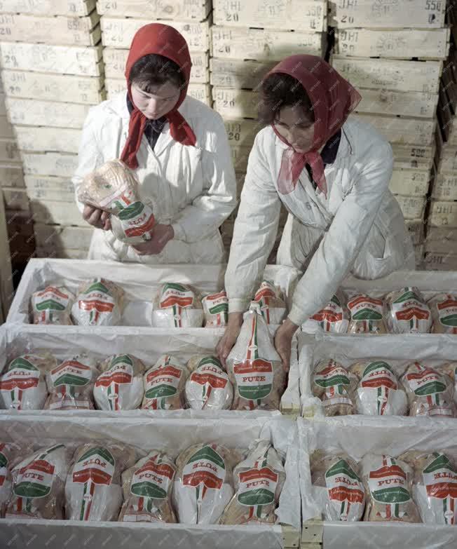 Élelmiszeripar - Pulykahúst exportálnak Törökszentmiklósról