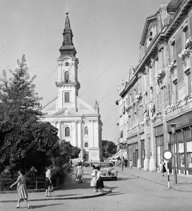 A szerző válogatása - Kecskeméti pillanatkép