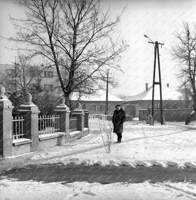 Zenetudomány - Kodály Zoltán munkatársai voltak