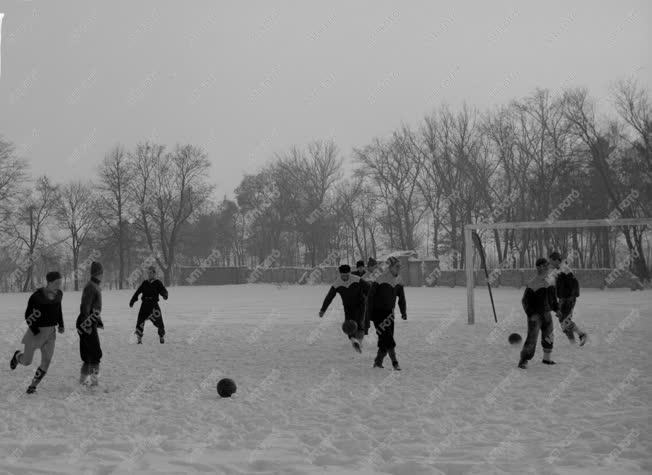 Sport - Labdarúgás - Gyomai labdarúgó csapat