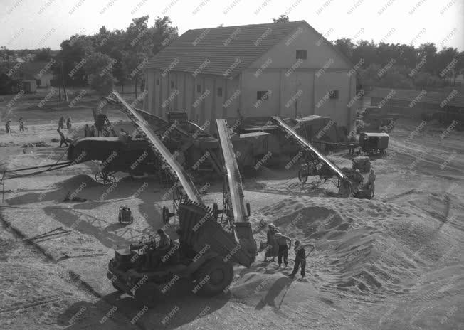 Gazdaság - Munkában az új gépek Mezőtúron