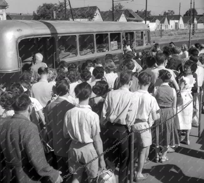 Közlekedés - Emberek várnak a 34-es busz indulására
