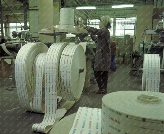 Ipar - A Papíripari Vállalat szentendrei gyára 