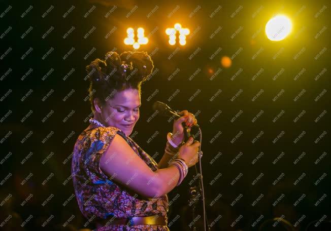 Dagadu Sena ghánai énekesnő koncertje
