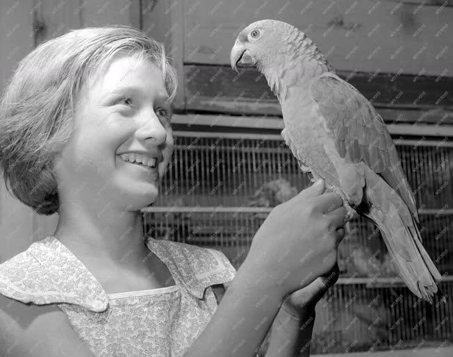 Foglalkozás - Állatvilág - Sok száz madár egy pesti lakásban