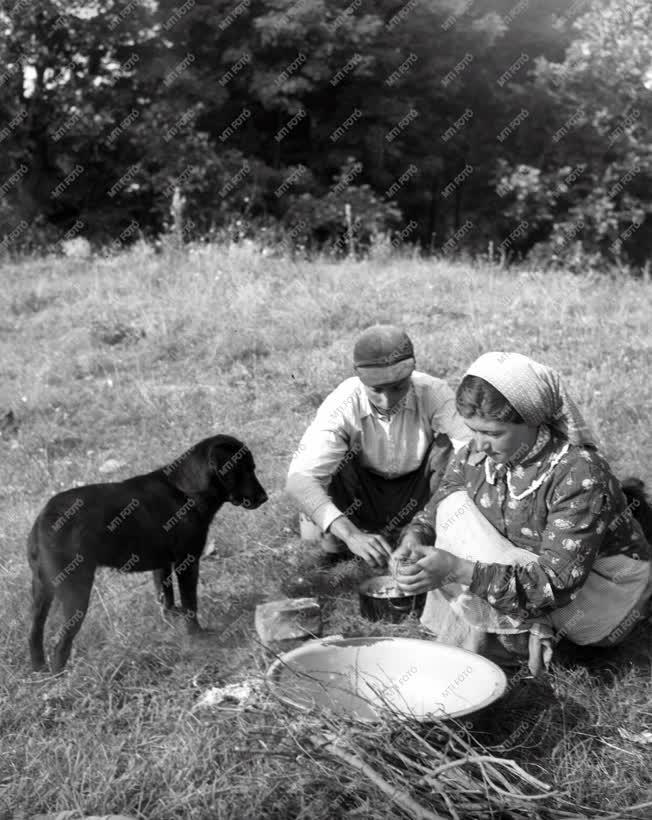 Társadalom - Kisebbségek - Cigánytábor