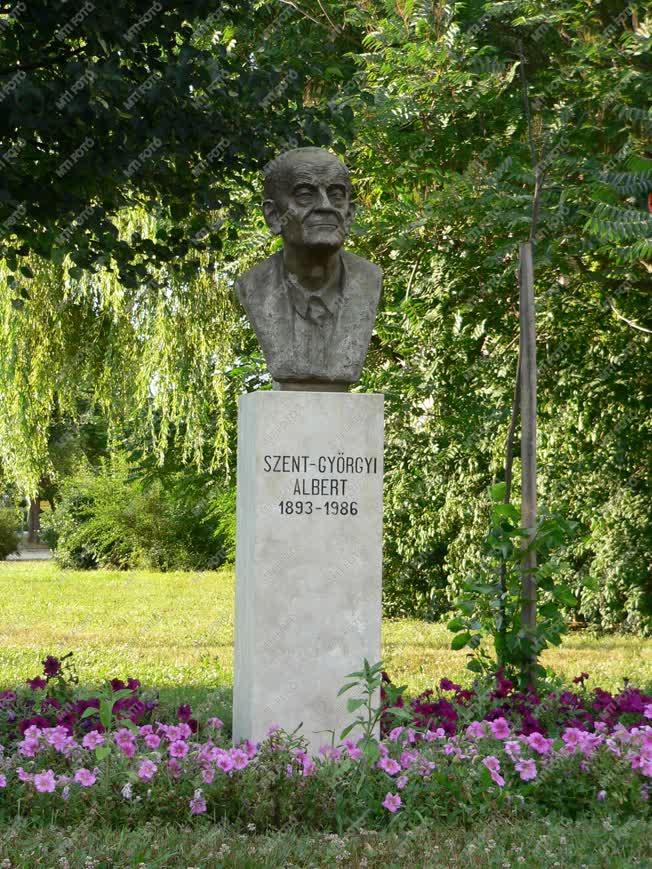 Balassagyarmat - Szent-Györgyi Albert szobor