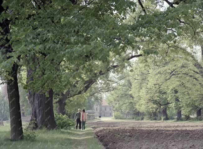 Városkép - Nagycenk