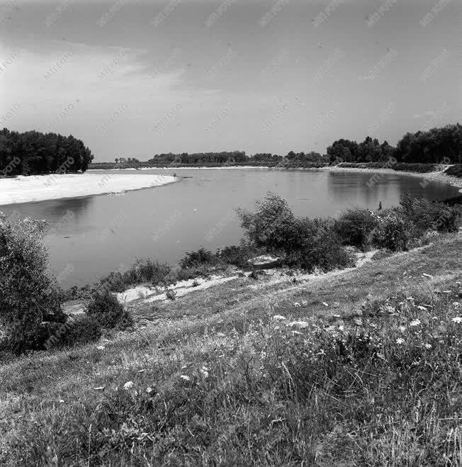 A szerző válogatása - a Felső-Tisza