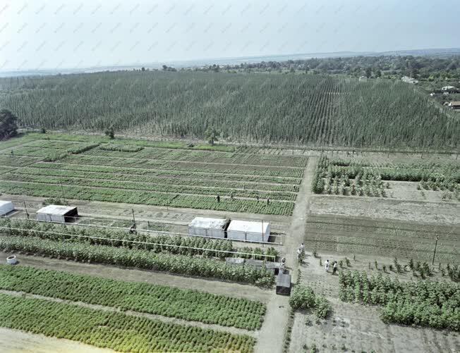 Mezőgazdaság - Délkelet-Dunántúli Mezőgazdasági Intézet 
