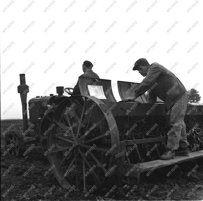 Mezőgazdaság - Őszi búzát vetnek a Kossuth Tsz-ben