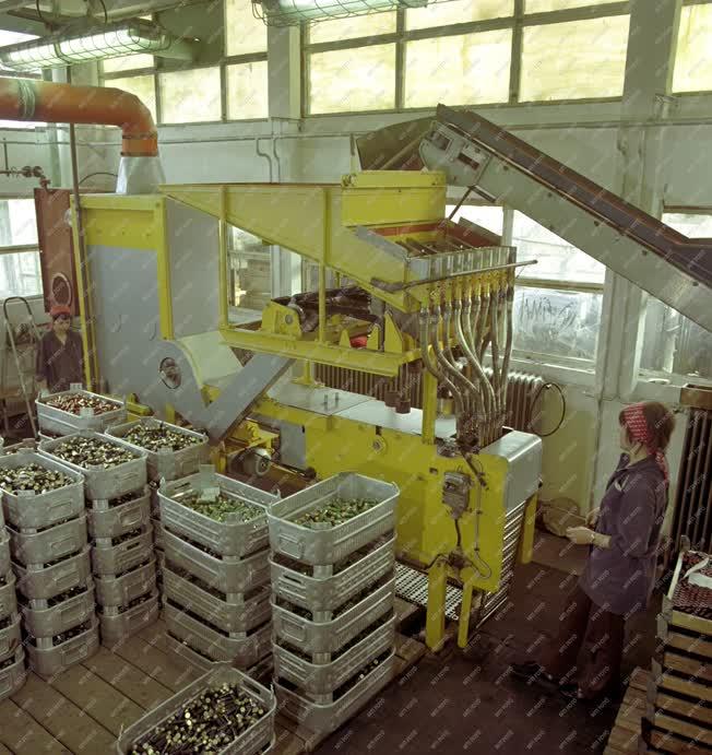 Ipar - A Nitrokémia Ipartelepek füzfői gyára