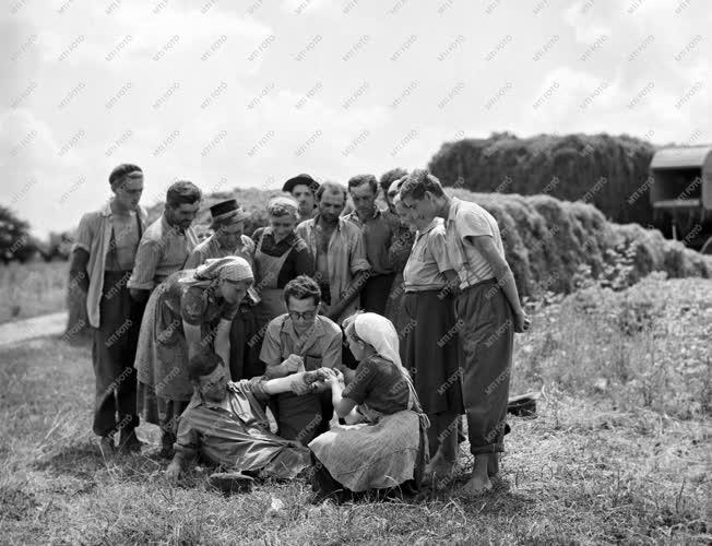 Mezőgazdaság - Egészségügy - A fiatal orvos elsősegélyt nyújt