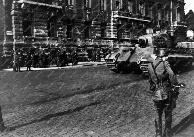Történelem - II. világháború - Német megszállás