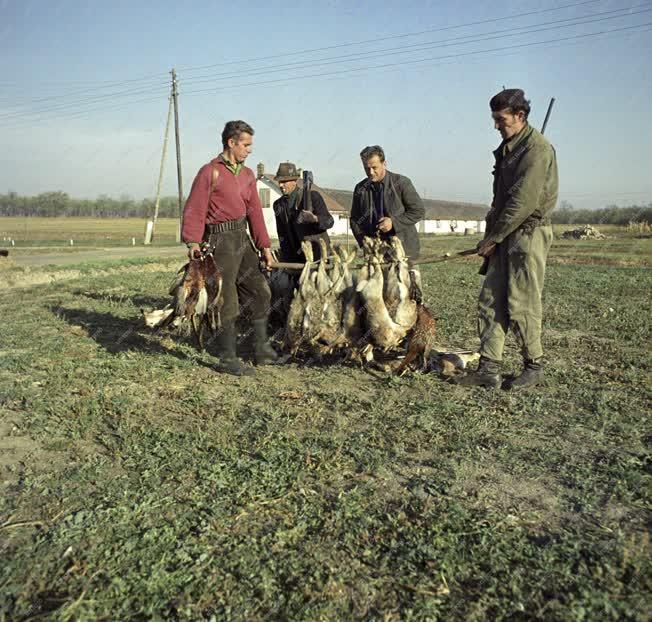 Mezőgazdaság - Vadászat  