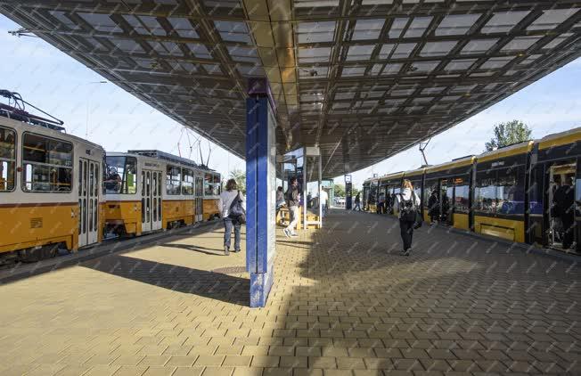 Közlekedés - Budapest - Villamosok a Szentlélek téri megállóban