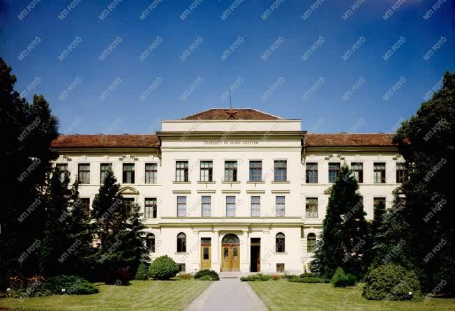 Erdészeti és Faipari Egyetem Sopronban