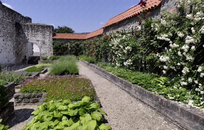 Városkép - Idegenforgalom - Visegrádi Királyi Palota kertje 