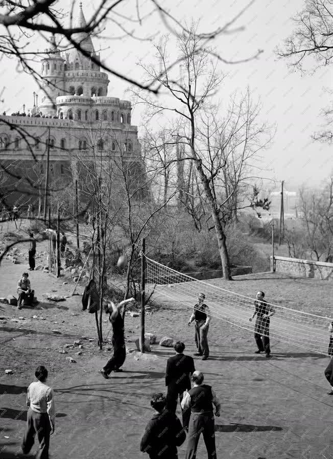 Budapesti képek - Sport a szabadban