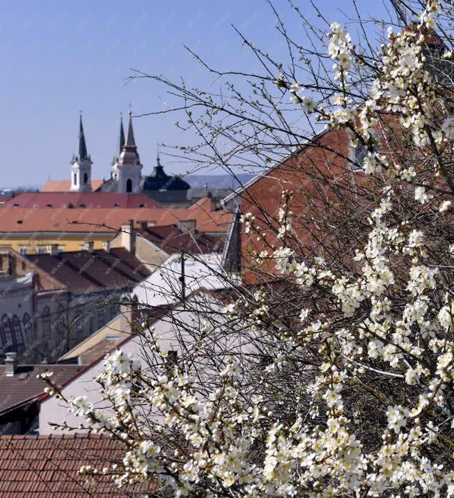 Városkép - Esztergom - Tavasz a Szent Tamás hegyen