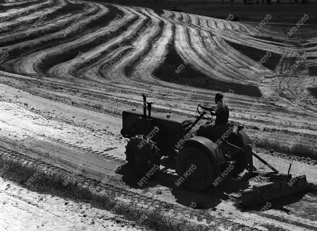 Mezőgazdaság - Időszerű munka a mezőgazdaságban