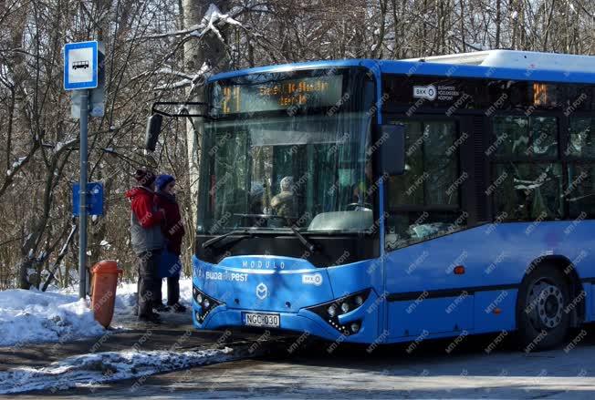 Közlekedés - Budapest - Autóbusz a Normafánál