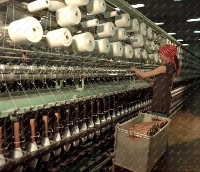 Ipar - Textilipar - Kistarcsai szövőgyár