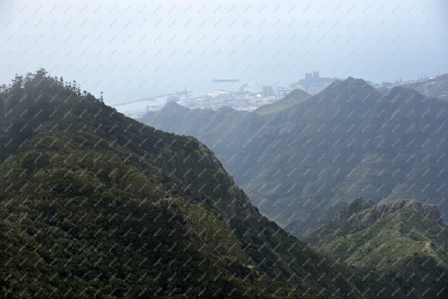 Természet - Tenerife - Pico Inglés-Angol csúcs