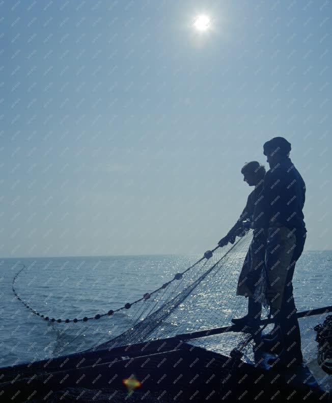 Mezőgazdaság - Életkép - Balatoni halászok