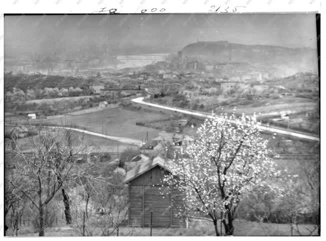 Városkép - Természet - Budapesti kép - Budapest album