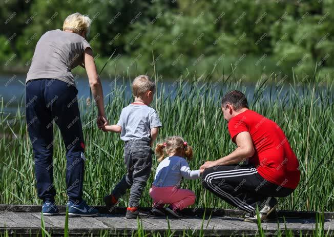 Természet - Debrecen - A Vekeri-tó Erdőspusztán