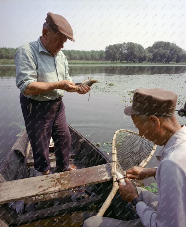Mezőgazdaság - Halászok a Dunán
