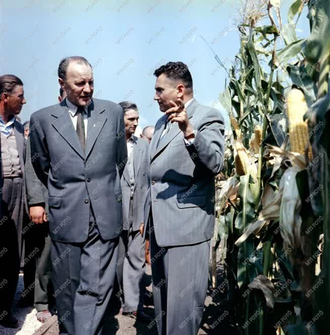 Képek a 63. Országos Mezőgazdasági Kiállításról