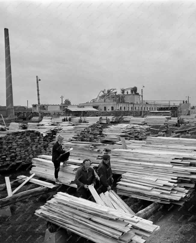 Ipar - Nyugat-Magyarországi Fűrészek szombathelyi gyára