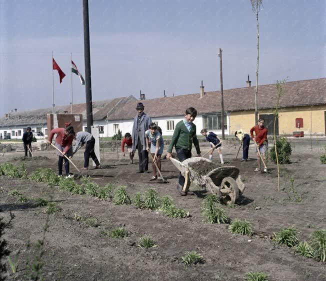 Mezőgazdaság - Az örkényi iskola és a Béke Mezőgazdasági Szakszövetkezet együttműködése