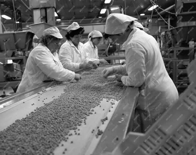 Élelmiszeripar - Alba Mirelit Vállalat hűtőházi borsófeldo