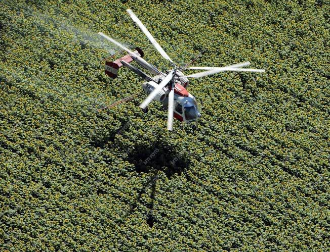 Mezőgazdaság - Debrecen - Helikopteres növényvédelem