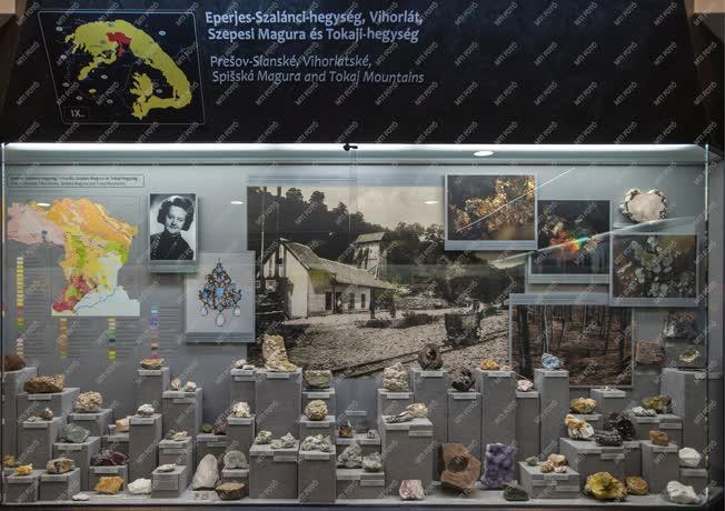 Kultúra - Miskolc - Új kiállítóhely - Pannon-tenger Múzeum