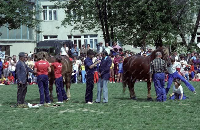 Kultúra - Televízió - A Csepü, lapu, gongyola című tv-műsor felvétele