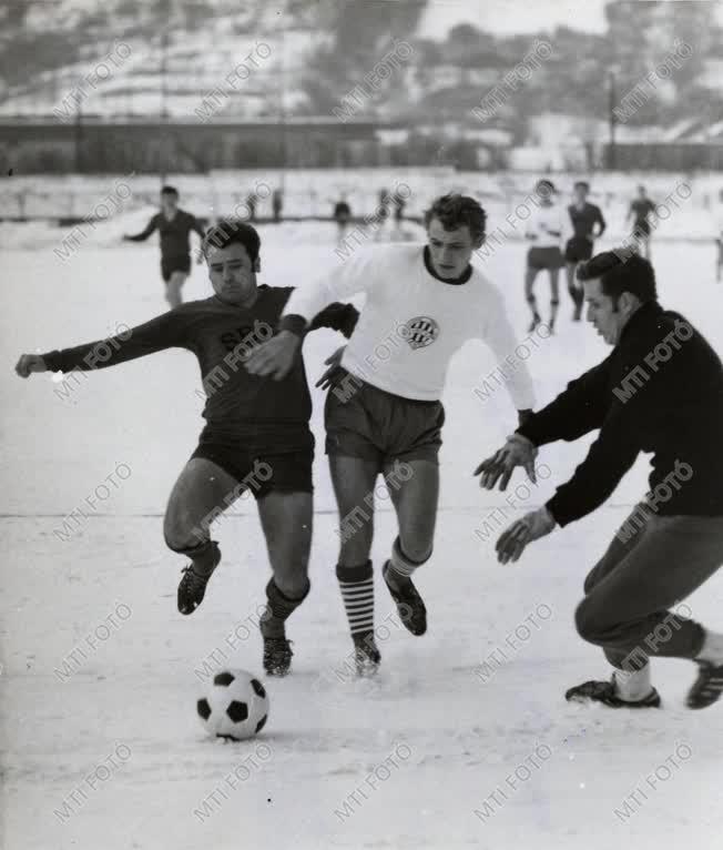 Ferencváros-Salgótarján NB. I-es mérkőzés