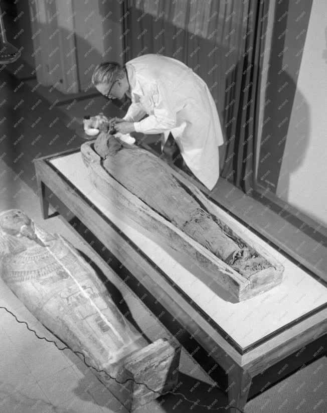 Régészet - Múmia a debreceni Déri Múzeumban