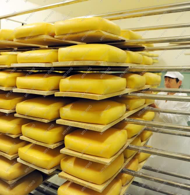 Élelmiszeripar - Torockószentgyörgy - Torockói sajtüzem