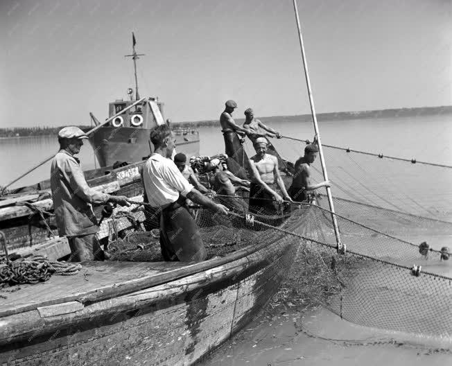 Mezőgazdaság - Motoros halászat a Balatonon 