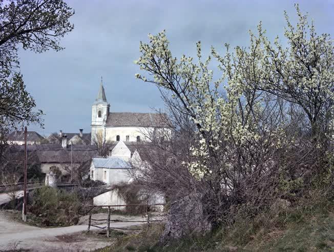 Magyar tájak - Tavasz a Balatonon