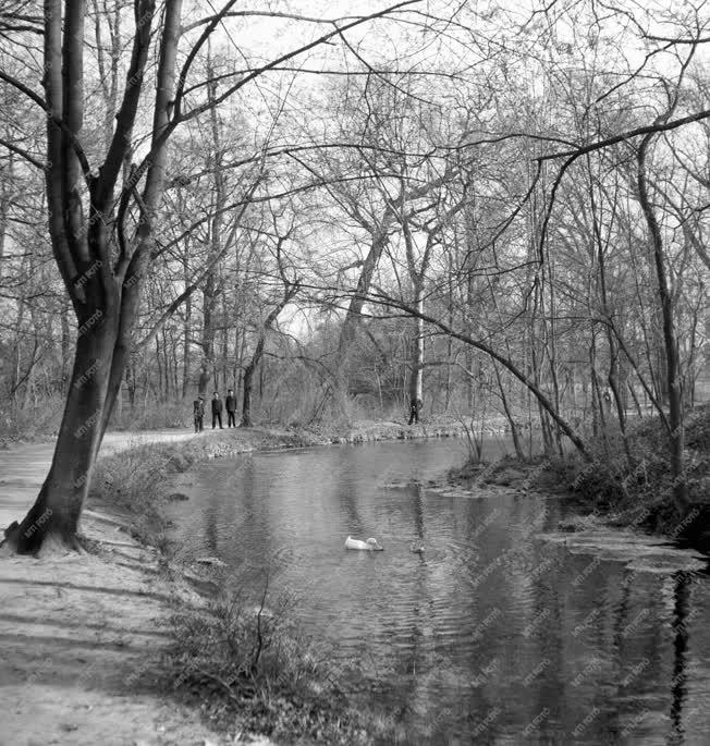 Városok - Tata - Parkrészlet