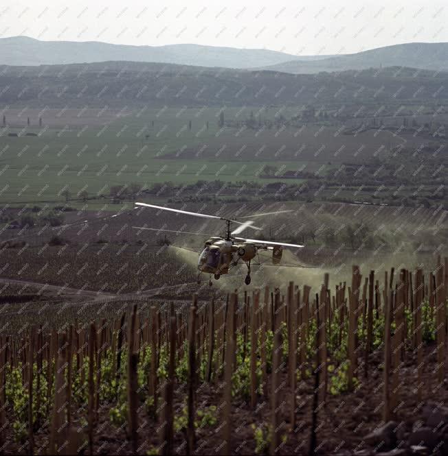 Mezőgazdaság - Növényvédelem - Helikopteres permetezés Hegyalján