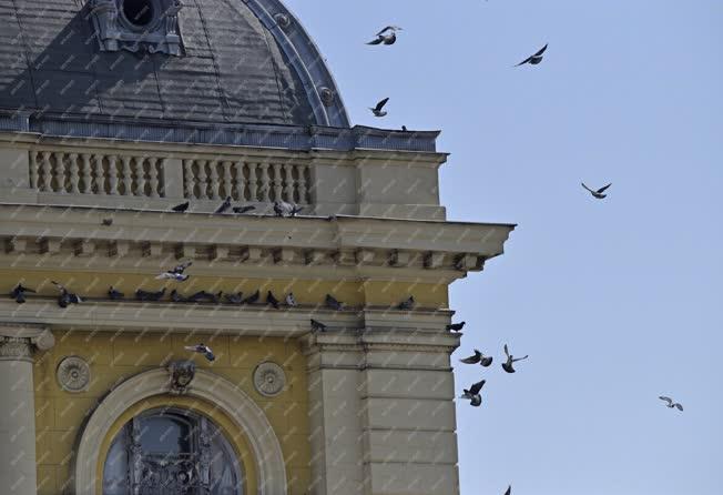 Városkép - Budapest - Galambok a Keleti pályaudvarnál