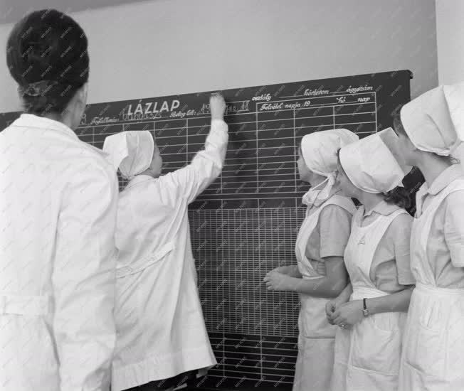 Oktatás - Egészségügy - Új ápolónőképző iskola Egerben