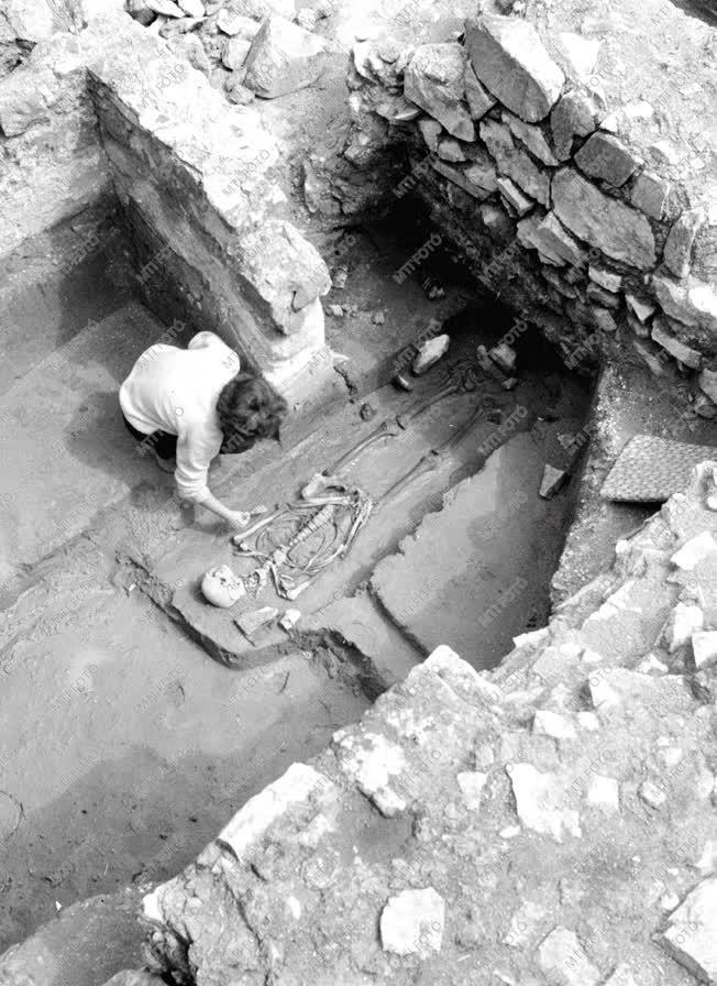 Székesfehérvári ásatások - Régészeti kutatás