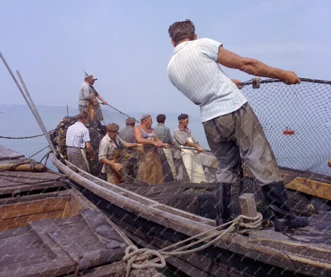 Mezőgazdaság - Halászok a Balatonon